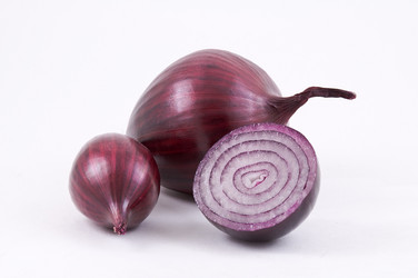 Similar image 1060479