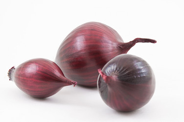 Similar image 1060480