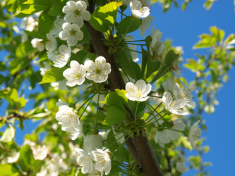 Similar image 1060520