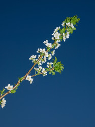 Similar image 1060522