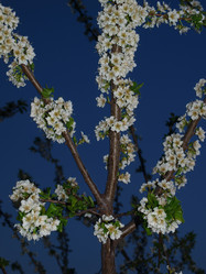 Similar image 1060527