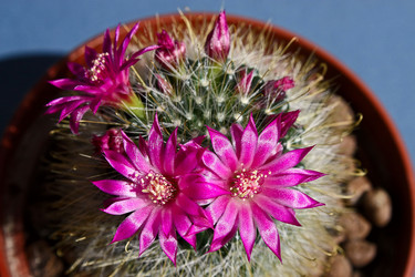 Similar image 1060611