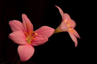 Similar image 1060664