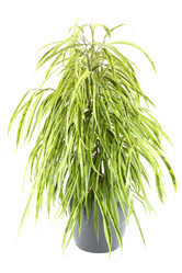 Similar image 1060665