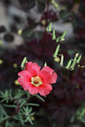 Similar image 1060763