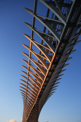 Similar image 1060769