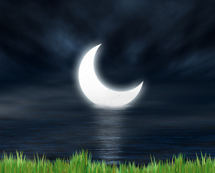 Similar image 1060778