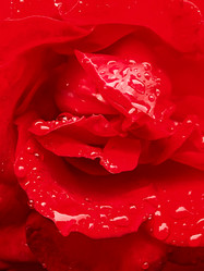 Similar image 1060825