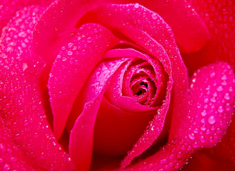 Similar image 1060983