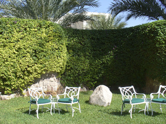 Similar image 1061068