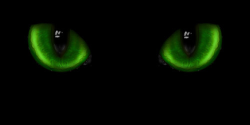 Similar image 1061280