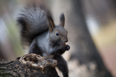 Similar image 1061283