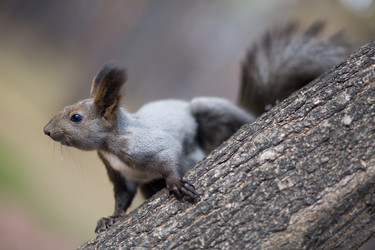 Similar image 1061316