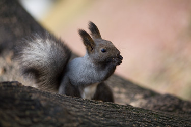 Similar image 1061318