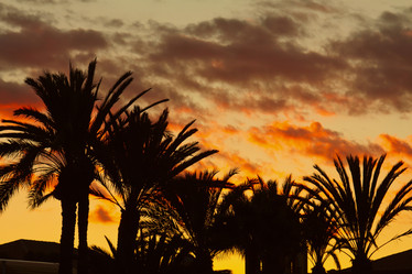 Similar image 1061449