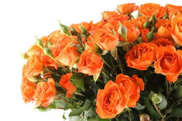 Similar image 1061460