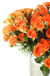 Similar image 1061461