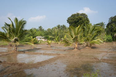 Similar image 1061509