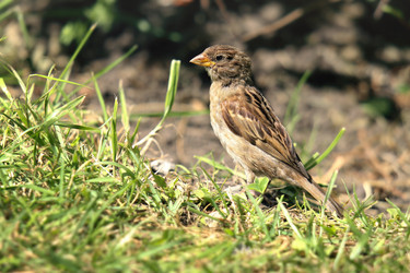 Similar image 1061609