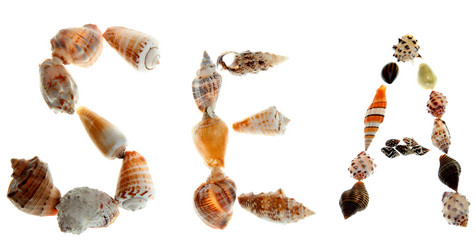 Similar image 1061655