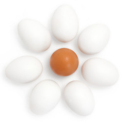 Similar image 1061669