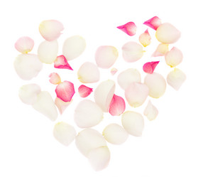 Similar image 1061674