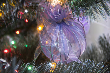 Similar image 1061718