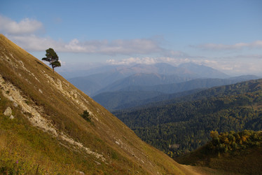 Similar image 1061791