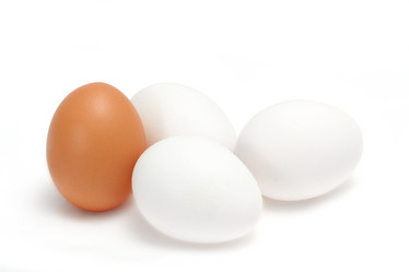 Similar image 1061937