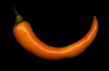 Similar image 1062007