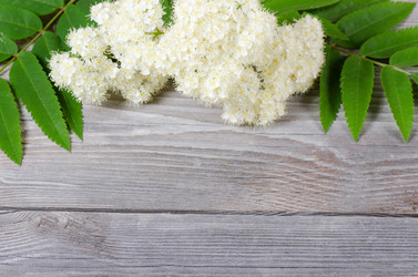 Similar image 1062380