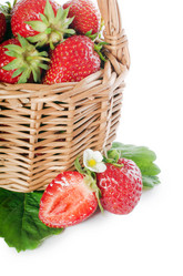 Similar image 1062487