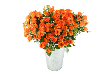 Similar image 1062827