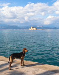 Similar image 1063142