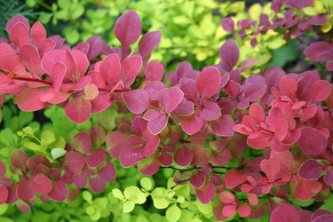 Similar image 1063284