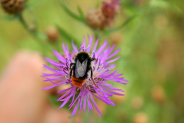 Similar image 1063326