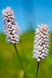 Similar image 1063331