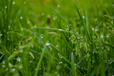 Similar image 1063344