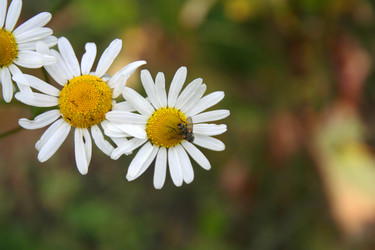 Similar image 1063362