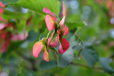 Similar image 1063364