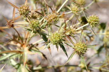 Similar image 1063371