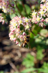 Similar image 1063377