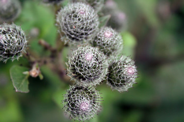 Similar image 1063384