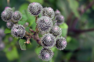 Similar image 1063387