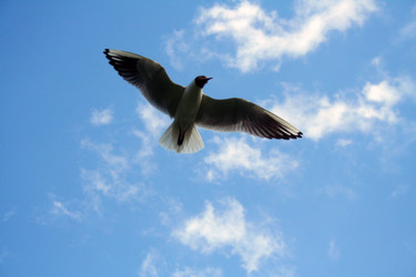 Similar image 1063404