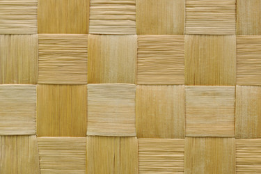 Similar image 1063529