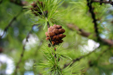 Similar image 1063678