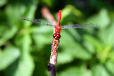 Similar image 1063681