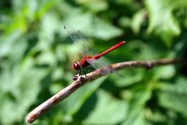 Similar image 1063682