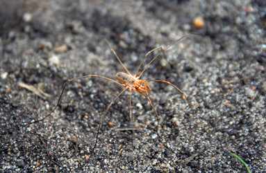 Similar image 1063687